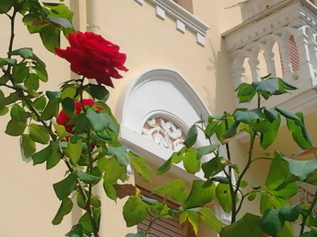 Relais Le Felci Executive